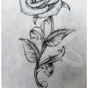 Meet your Posher, Jasvin